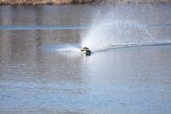 Enlarge photo 482