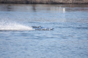 Enlarge photo 567