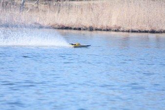 Enlarge photo 595