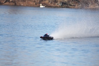 Enlarge photo 769