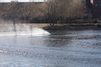 Enlarge photo 898