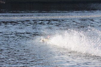 Enlarge photo 941