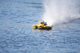 Enlarge photo 971