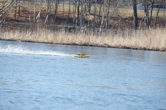 Enlarge photo 981