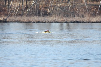 Enlarge photo 1033
