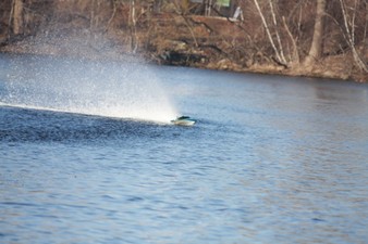 Enlarge photo 1038