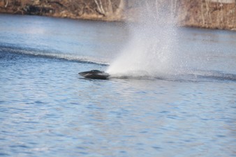 Enlarge photo 1039