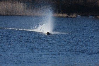 Enlarge photo 1111
