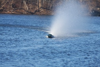 Enlarge photo 1131