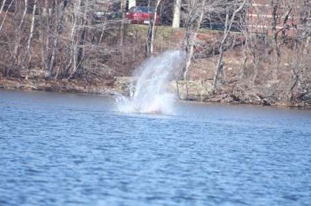 Enlarge photo 11
