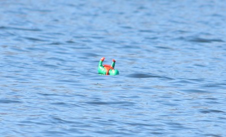 Enlarge photo 38