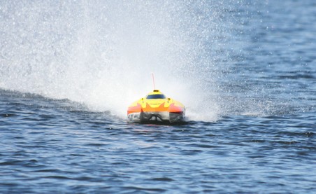 Enlarge photo 49