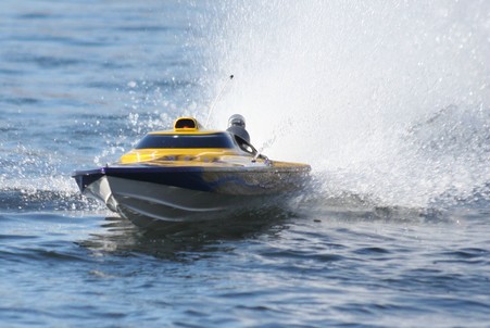 Enlarge photo 77