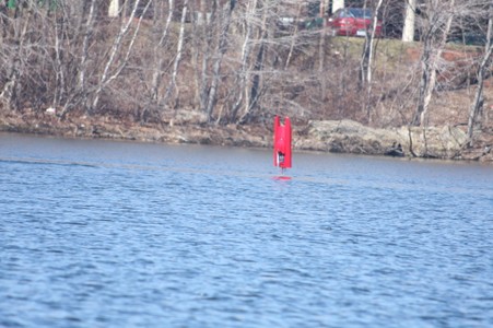 Enlarge photo 17