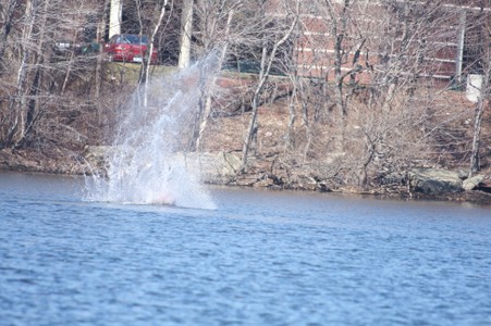 Enlarge photo 19