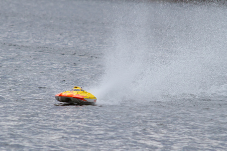 Enlarge photo 54