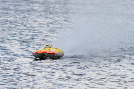 Enlarge photo 73