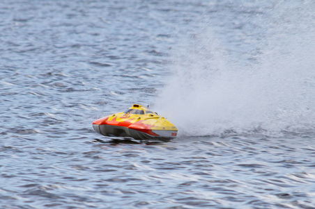 Enlarge photo 74