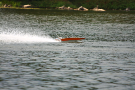 Enlarge photo 72
