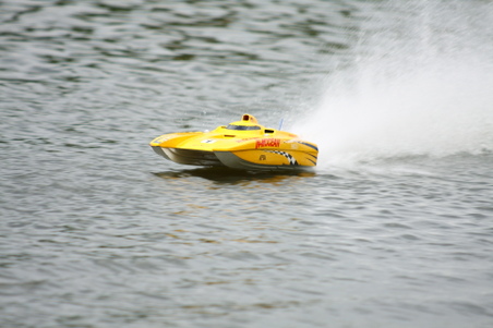 Enlarge photo 84