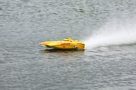 Enlarge photo 95