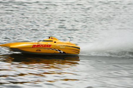 Enlarge photo 135