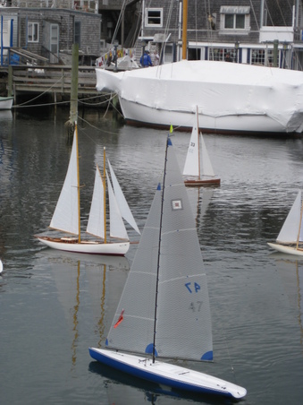 Enlarge photo 75