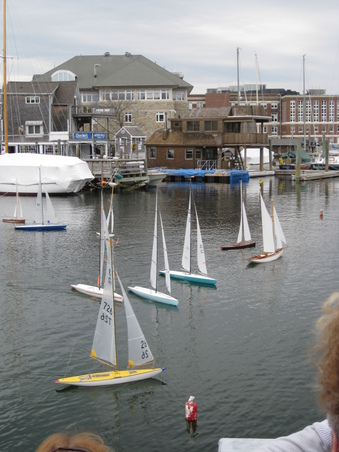 Enlarge photo 83