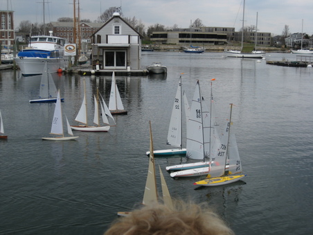 Enlarge photo 86