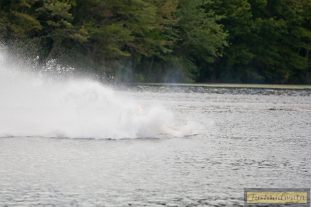 Enlarge photo 76