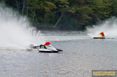 Enlarge photo 265
