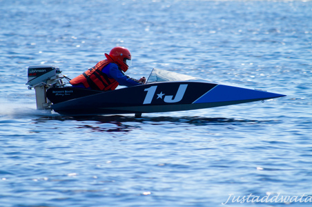 Enlarge photo 561