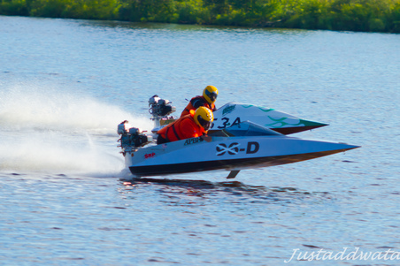 Enlarge photo 1146
