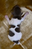 Enlarge photo 14