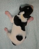 Enlarge photo 10