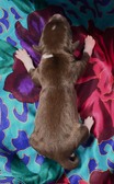 Enlarge photo 6