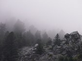Enlarge photo 35