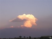 Enlarge photo 41
