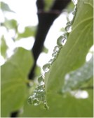 Enlarge photo 36