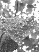 Enlarge photo 39