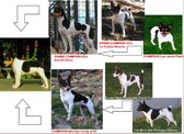 Enlarge photo 43