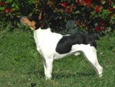 Enlarge photo 17