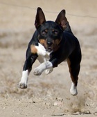 Enlarge photo 24