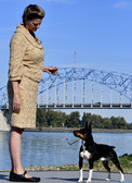Enlarge photo 4