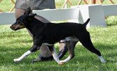 Enlarge photo 21
