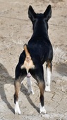 Enlarge photo 25