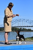 Enlarge photo 14