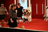 Enlarge photo 57