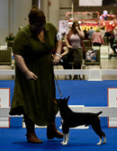 Enlarge photo 52
