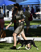 Enlarge photo 22